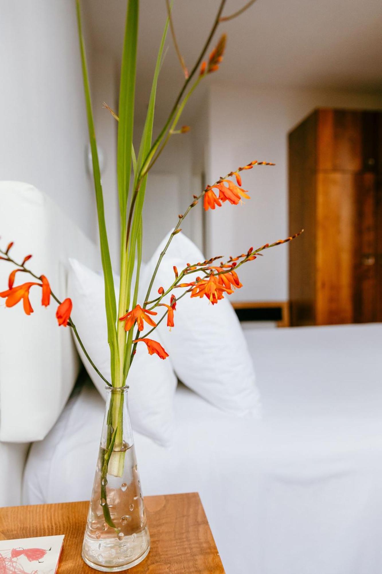 Hotel El Castano Dormilon Santa Marta de Ortigueira Dış mekan fotoğraf